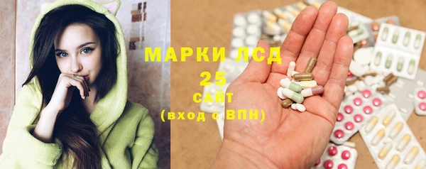 индика Армянск