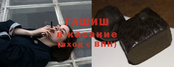 индика Балахна