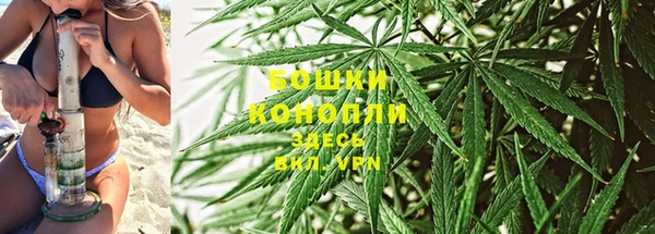 индика Армянск