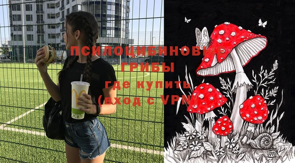 хмурый Баксан
