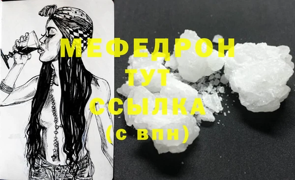 индика Армянск