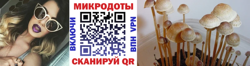 Галлюциногенные грибы мицелий  Усть-Кут 